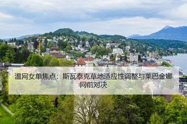 wen-wang-nv-dan-jiao-dian-si-wa-tai-ke-cao-di-shi-ying-xing-tiao-zheng-yu-lai-ba-jin-na-wang-qian-dui-jue-3-498.jpg