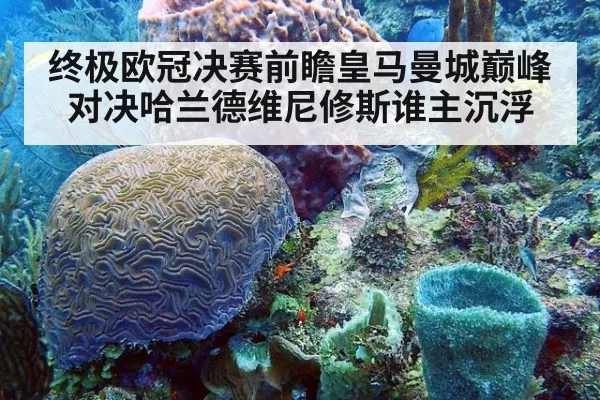终极欧冠决赛前瞻皇马曼城巅峰对决哈兰德维尼修斯谁主沉浮
